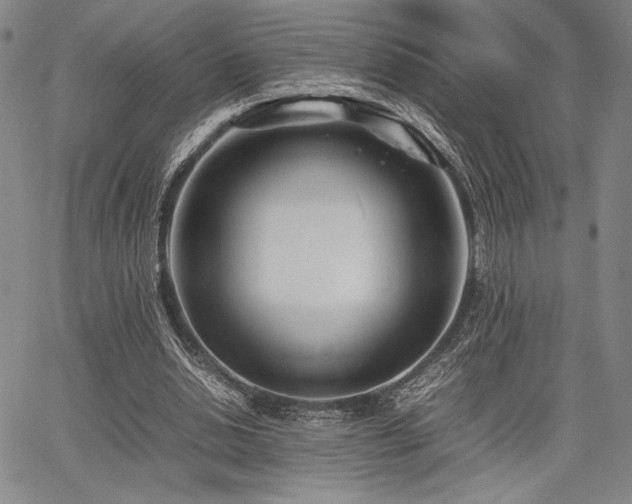 X0000067830438200604131205