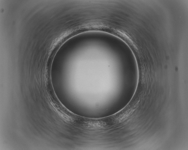 X0000067830439200604131205