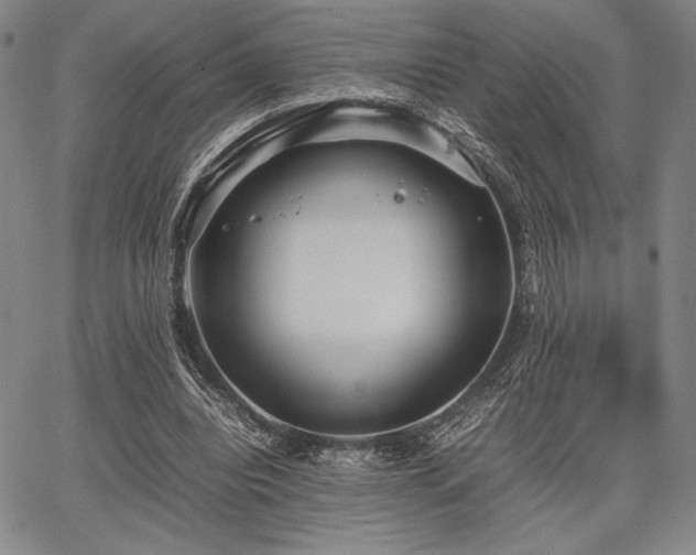 X0000067830440200604131205