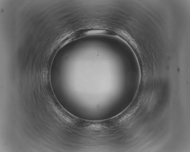 X0000067830441200604131205