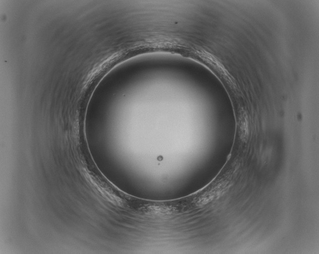 X0000067830442200604131205