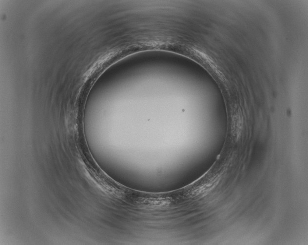 X0000067830443200604131205