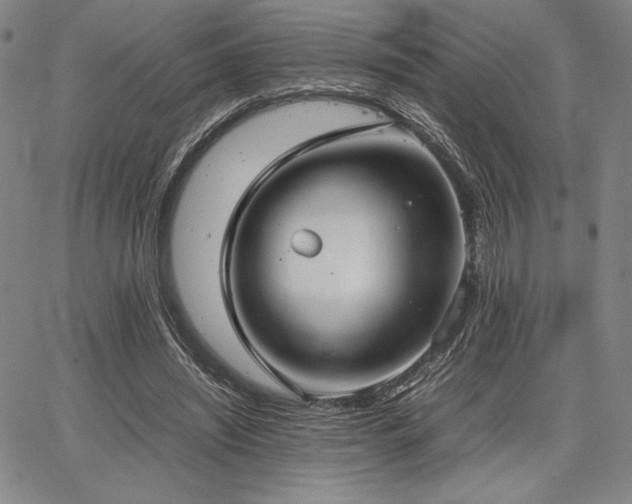 X0000067830444200604131205