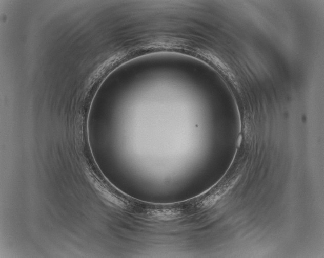 X0000067830445200604131205