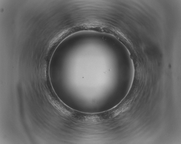 X0000067830446200604131205