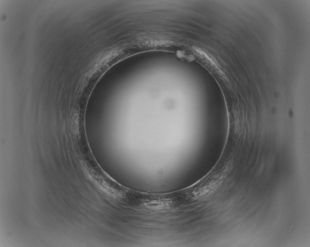 X0000067830447200604131205