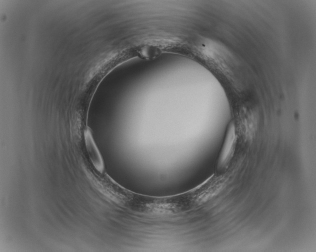 X0000067830448200604131205