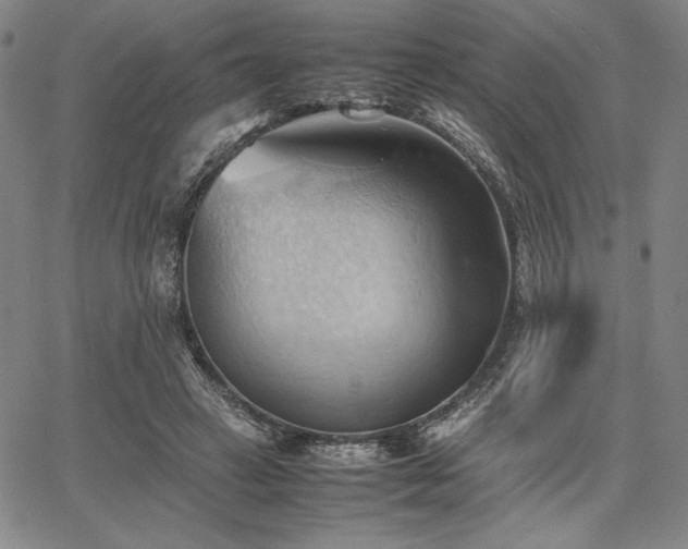 X0000067830449200604131205