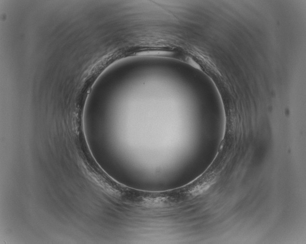 X0000067830450200604131205