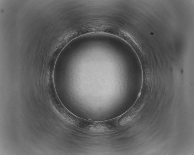 X0000067830451200604131205