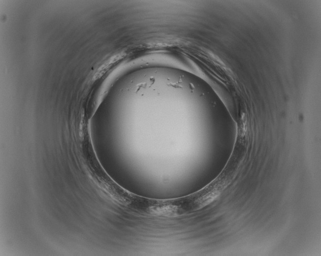 X0000067830452200604131205