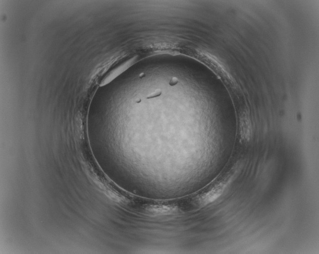 X0000067830453200604131205