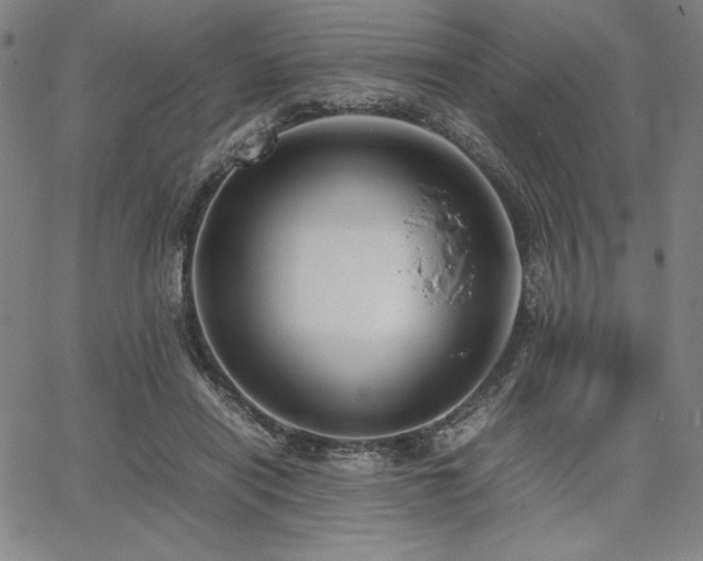 X0000067830454200604131205