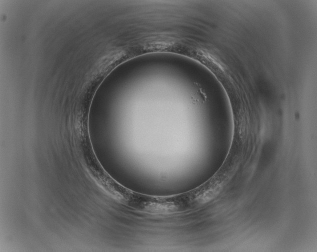 X0000067830455200604131205