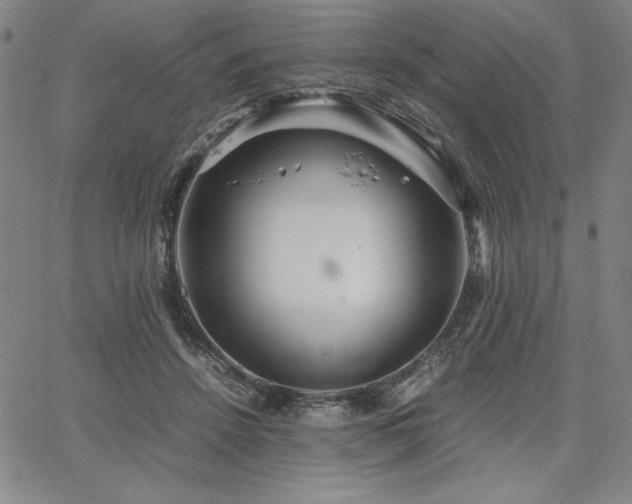 X0000067830456200604131205