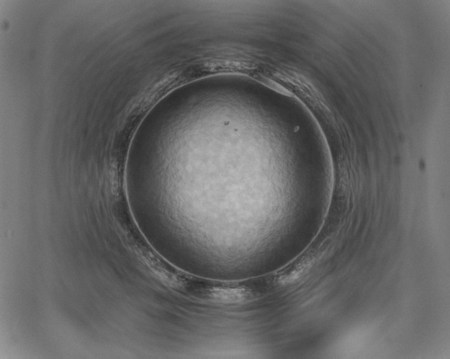 X0000067830457200604131205