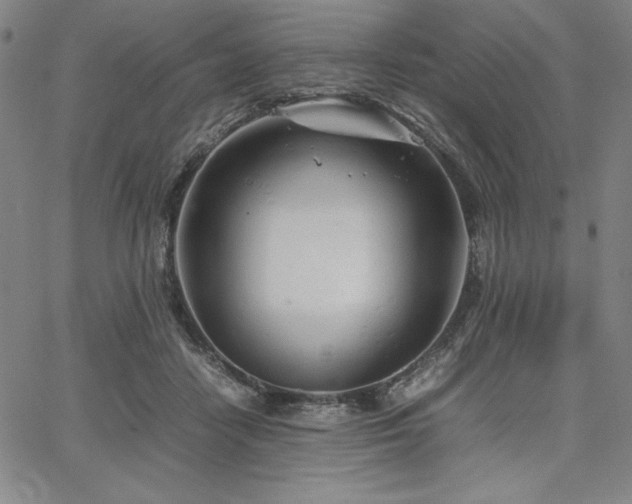 X0000067830458200604131205