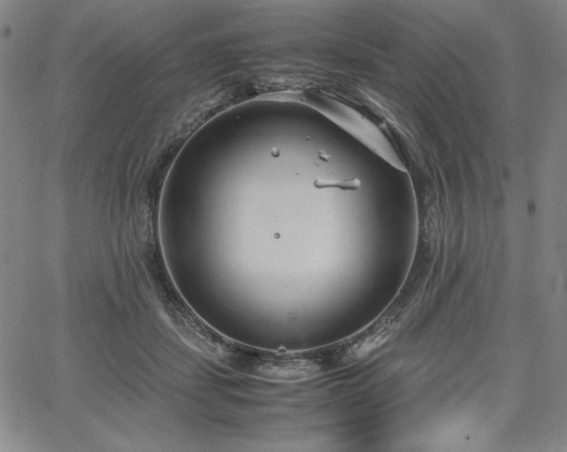 X0000067830459200604131205