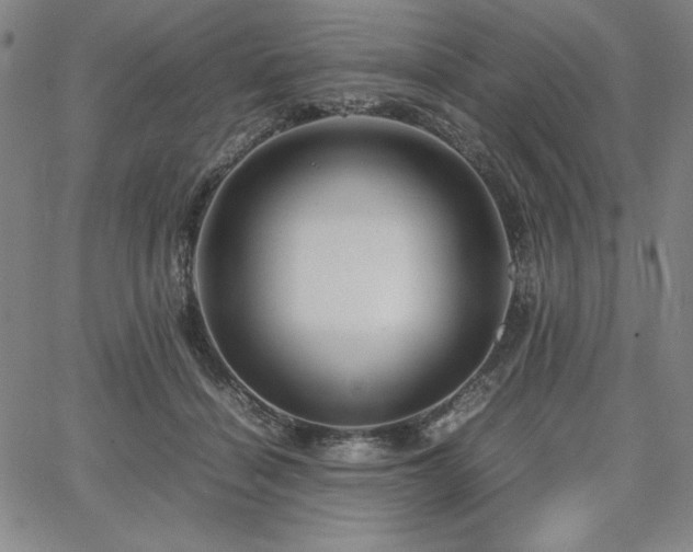 X0000067830460200604131205