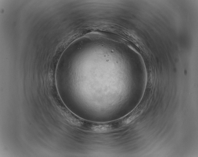 X0000067830461200604131205