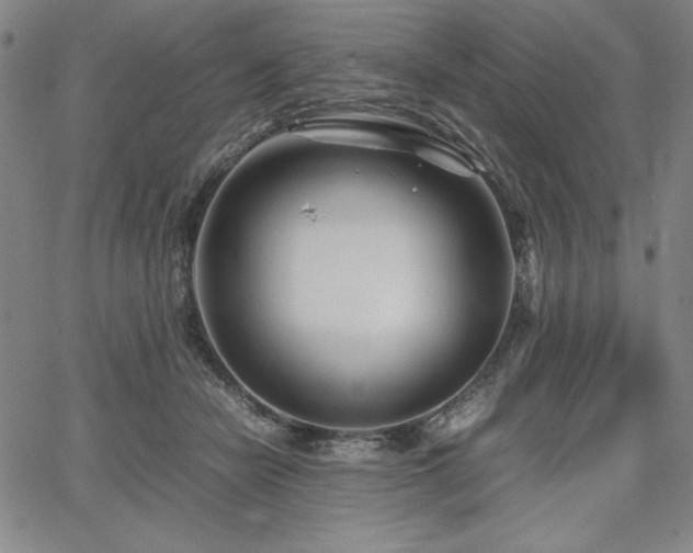 X0000067830462200604131205