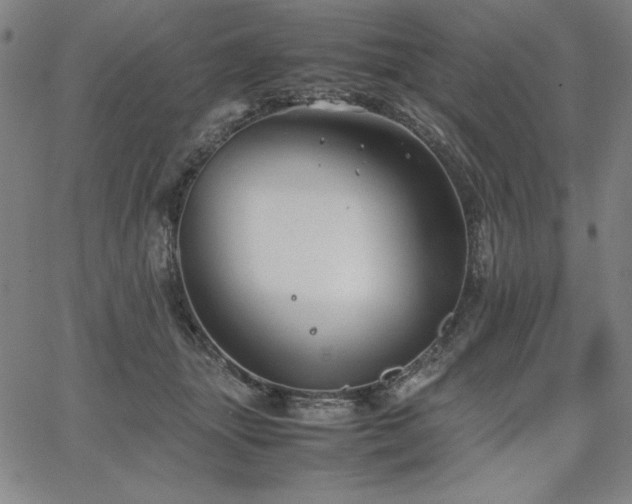 X0000067830463200604131205