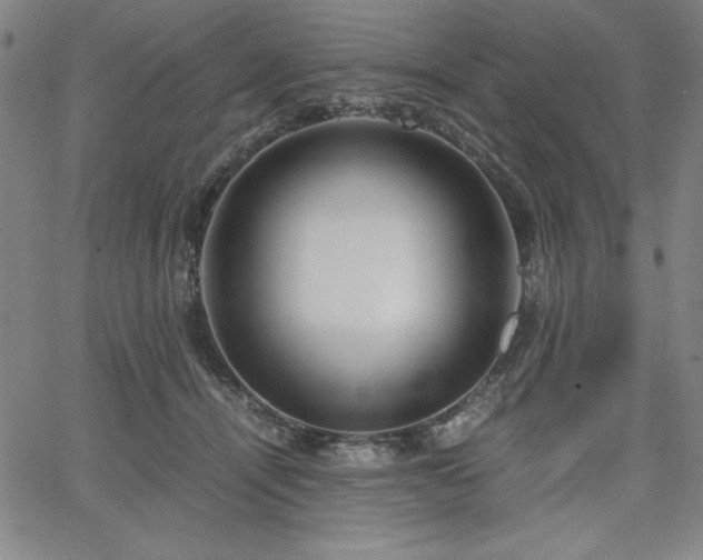 X0000067830464200604131205