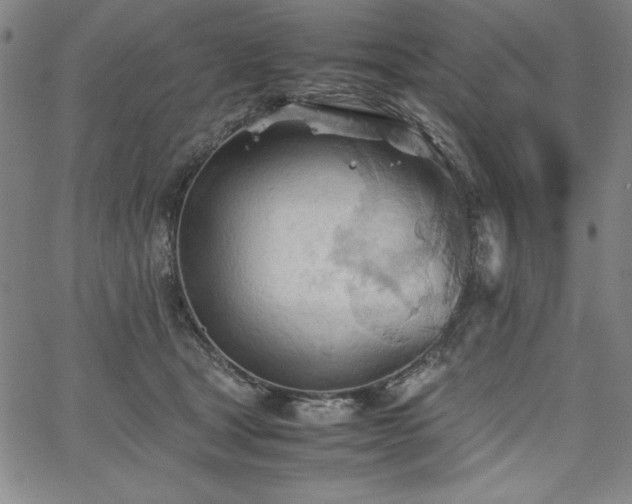 X0000067830465200604131205