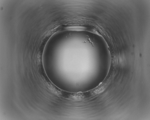 X0000067830466200604131205