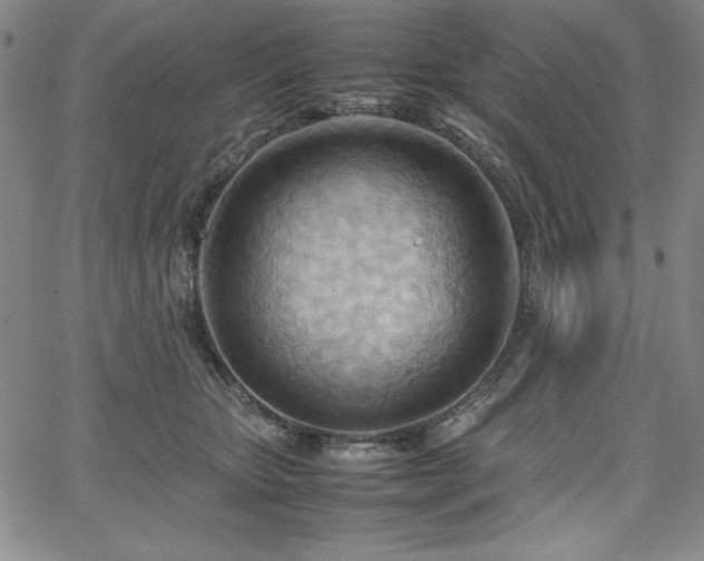 X0000067830467200604131205