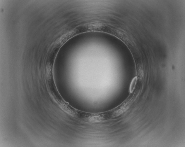 X0000067830468200604131205