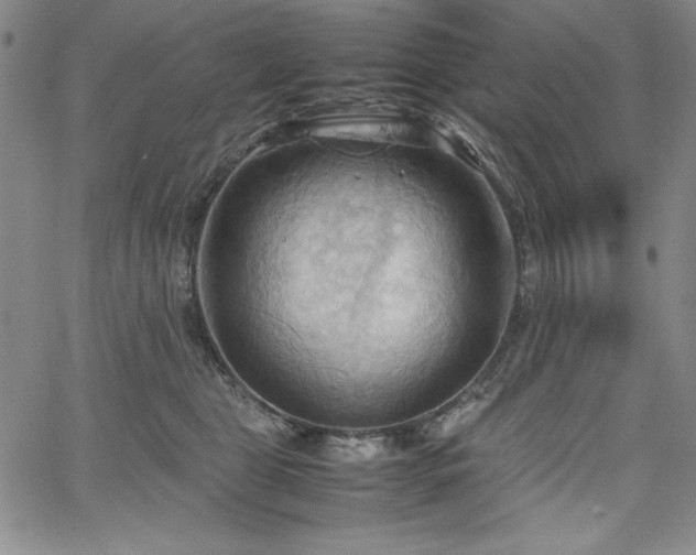 X0000067830469200604131205