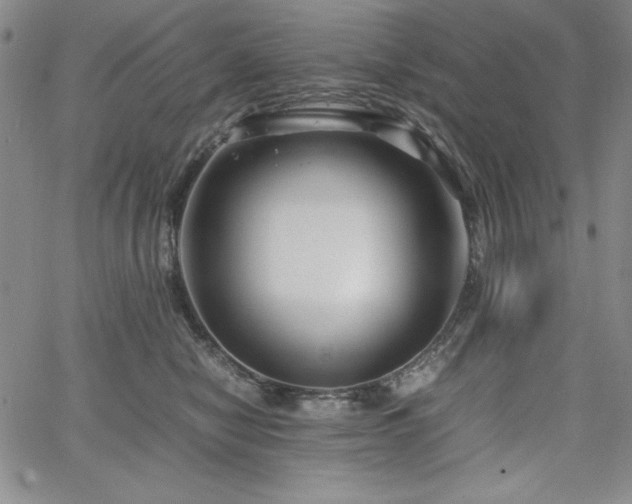 X0000067830470200604131205