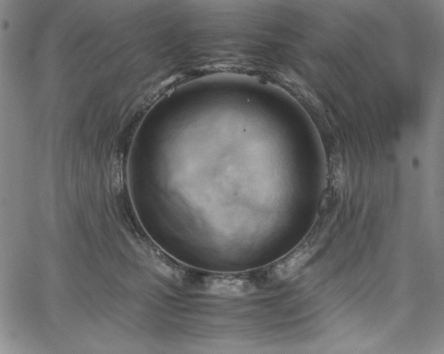 X0000067830471200604131205