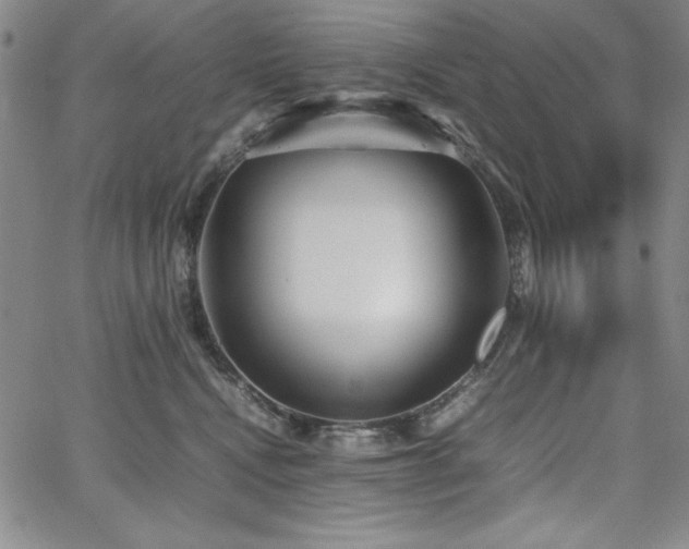 X0000067830472200604131205