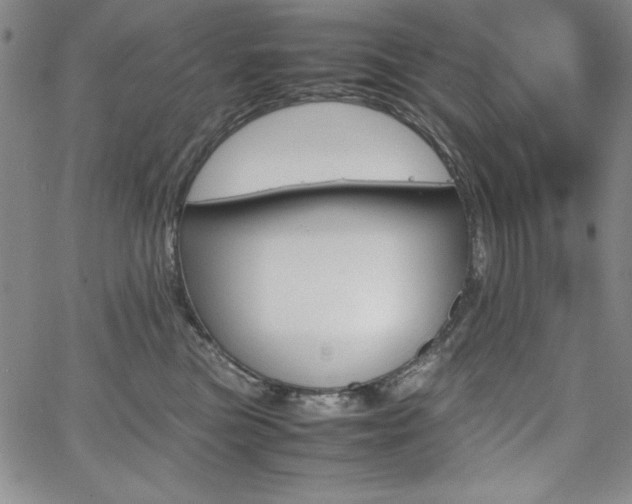 X0000067830473200604131205