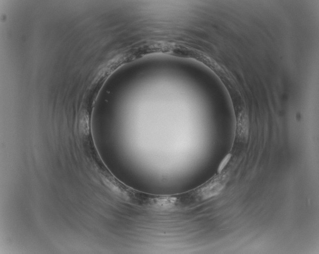 X0000067830474200604131205