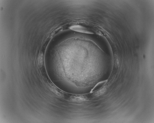 X0000067830475200604131205