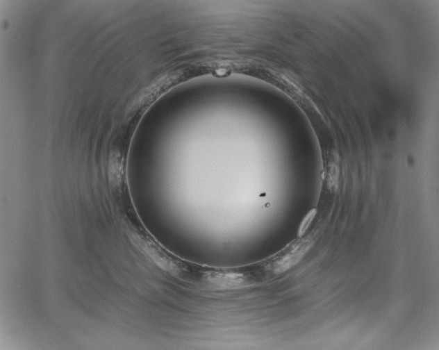 X0000067830476200604131205