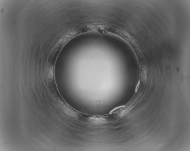 X0000067830477200604131205