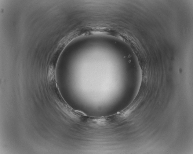 X0000067830478200604131205