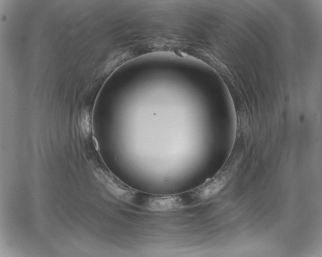 X0000067830479200604131205