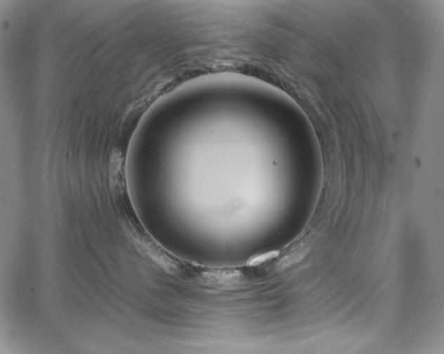 X0000067830480200604131205