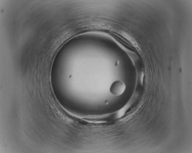 X0000067830481200604131205