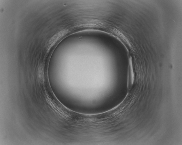 X0000067830482200604131205