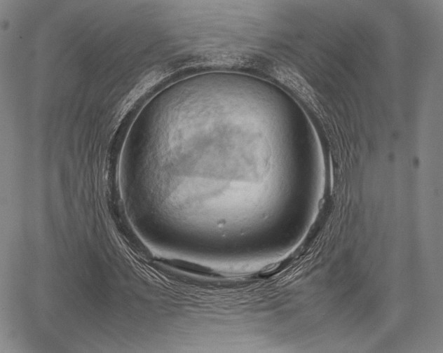 X0000067830483200604131205