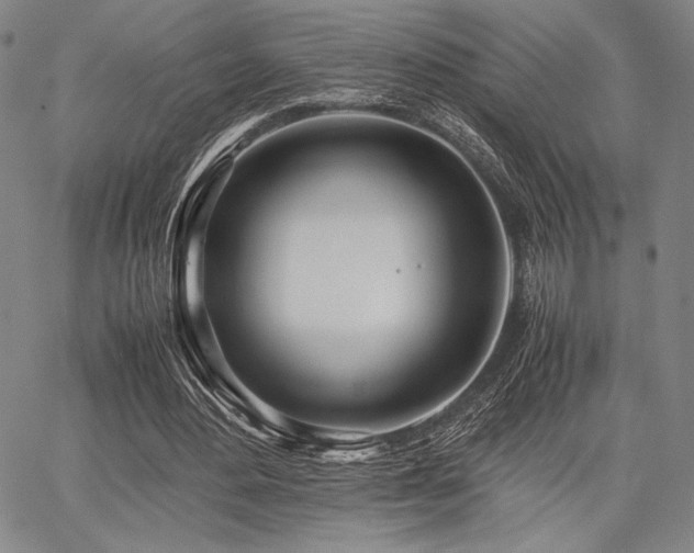 X0000067830484200604131205