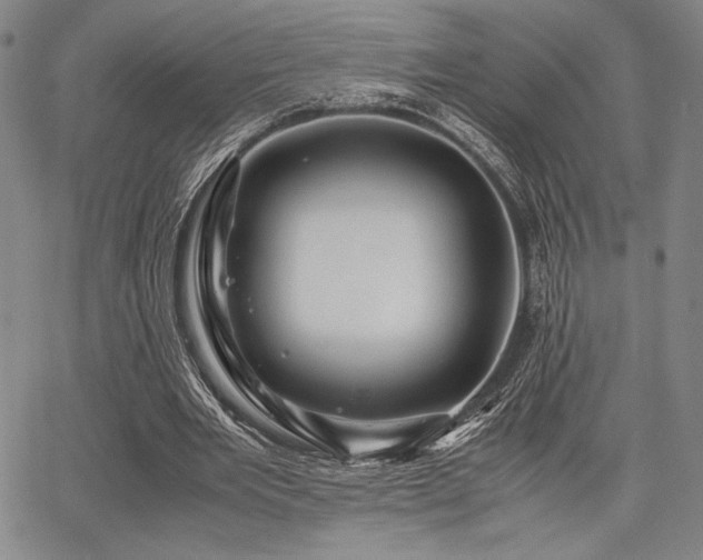 X0000067830485200604131205