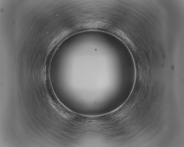 X0000067830486200604131205