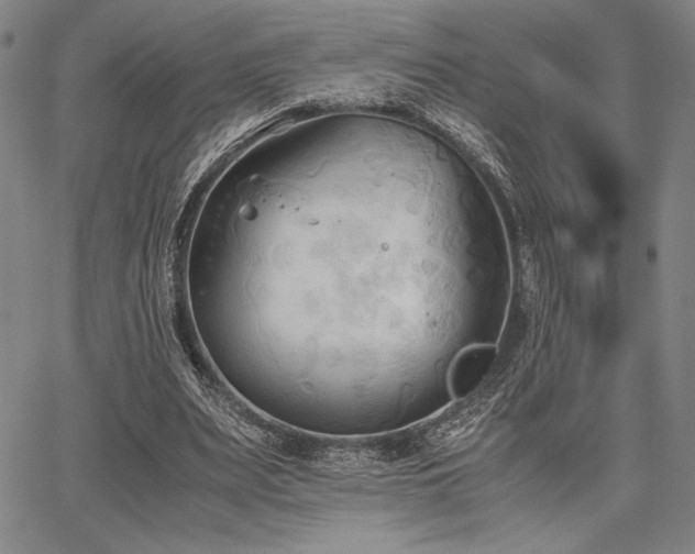 X0000067830487200604131204